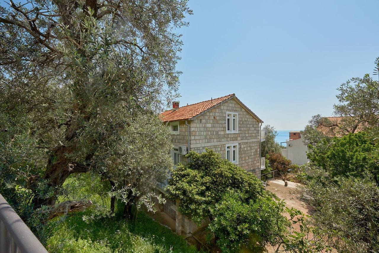 Apartmani Kuca U Maslinama Sveti Stefan Exteriér fotografie