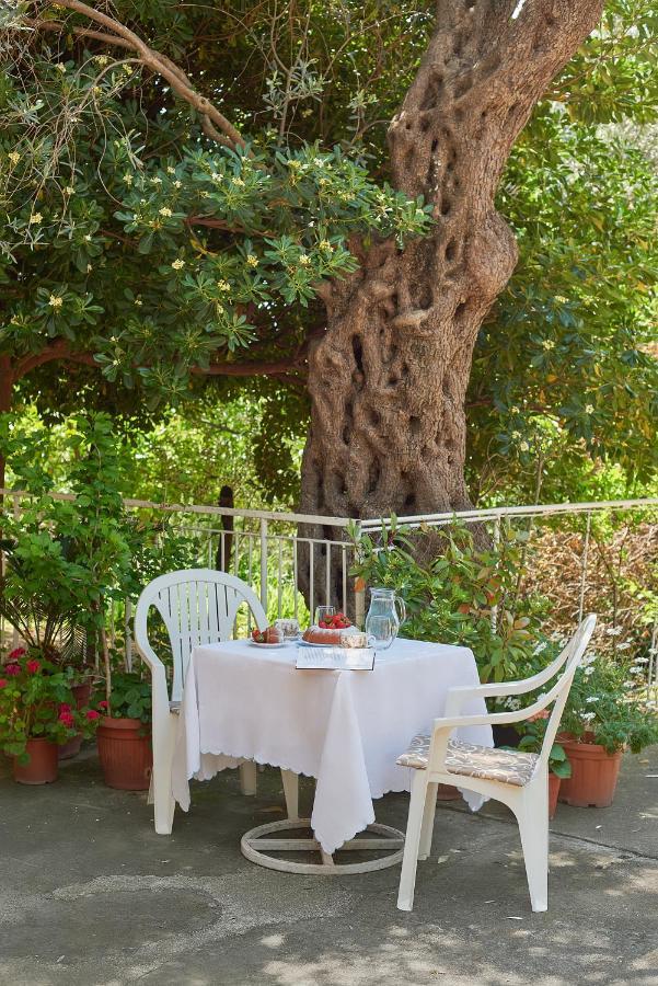 Apartmani Kuca U Maslinama Sveti Stefan Exteriér fotografie