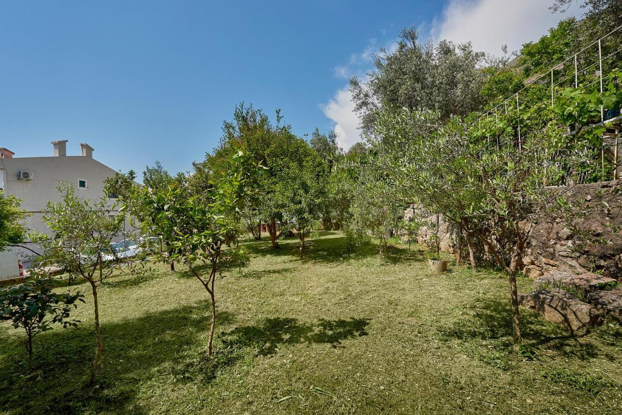 Apartmani Kuca U Maslinama Sveti Stefan Exteriér fotografie
